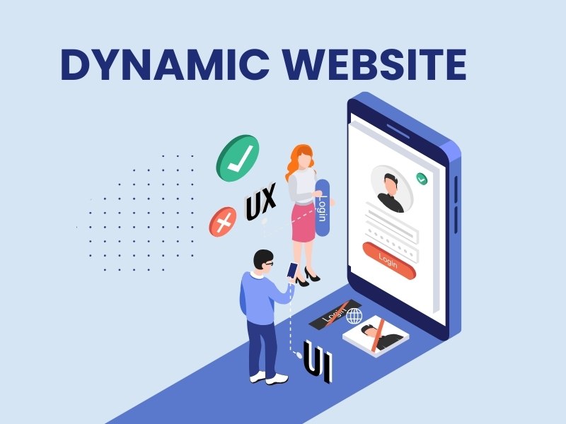 Dynamic website development services with database driven features and custom functionality